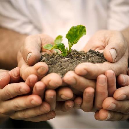 Why You Should Help a Farmer by Planting Trees